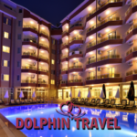 dolphin_travel